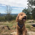 Mia on Mountain